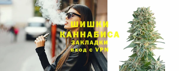 спиды Бородино