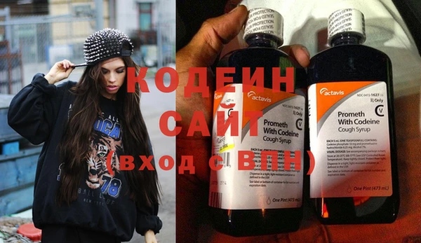 спиды Бородино