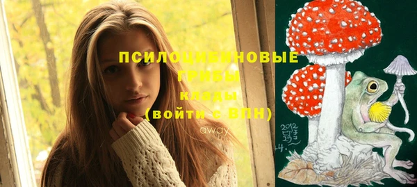 спиды Бородино