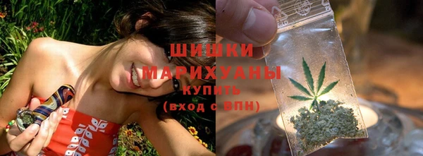 спиды Бородино