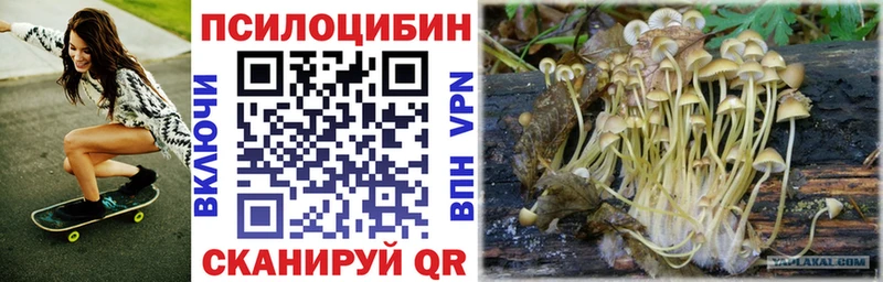 Галлюциногенные грибы Psilocybine cubensis  Ленинградская 
